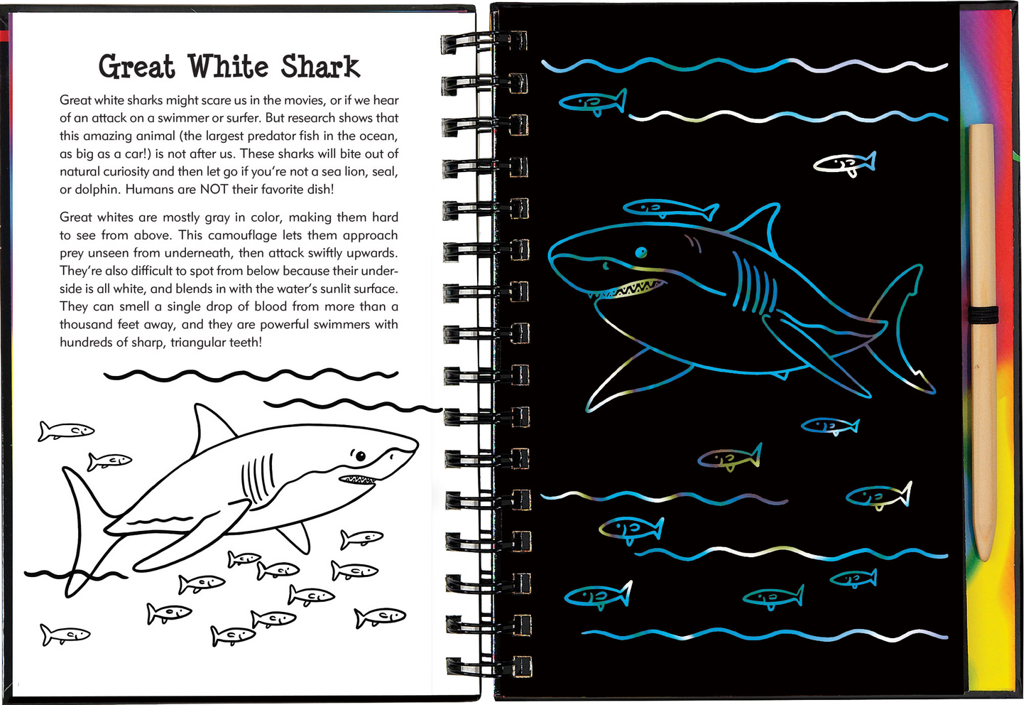 Scratch & Sketch™ Adventure Book