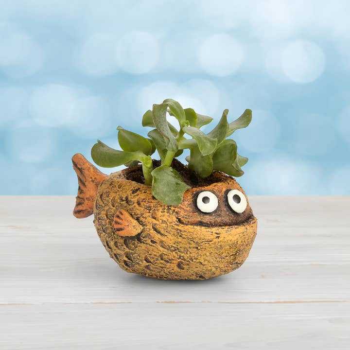 Blobhouse Planters