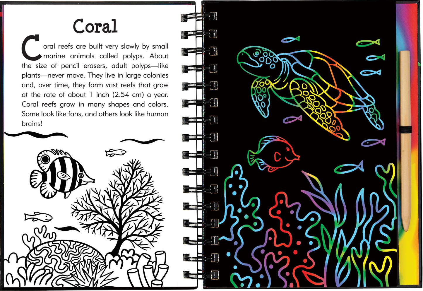 Scratch & Sketch™ Adventure Book