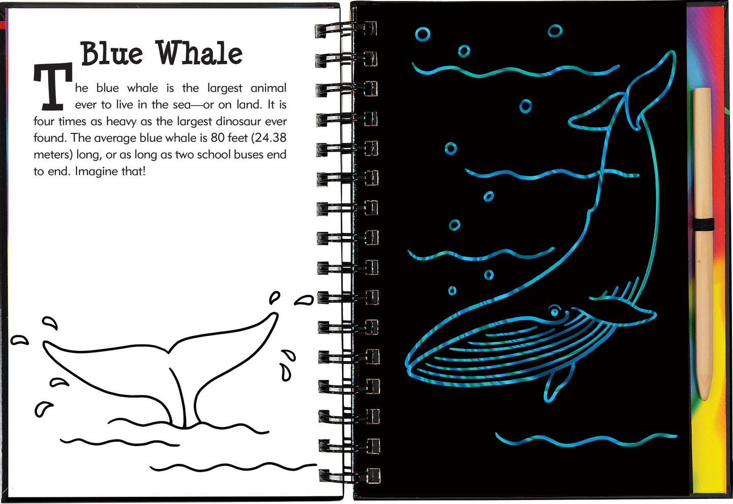 Scratch & Sketch™ Adventure Book