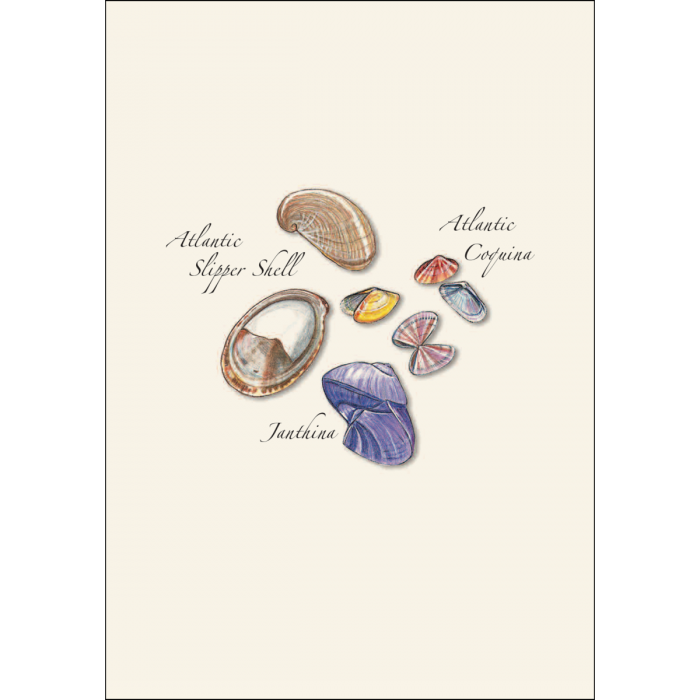 Illustrated Notecard Set