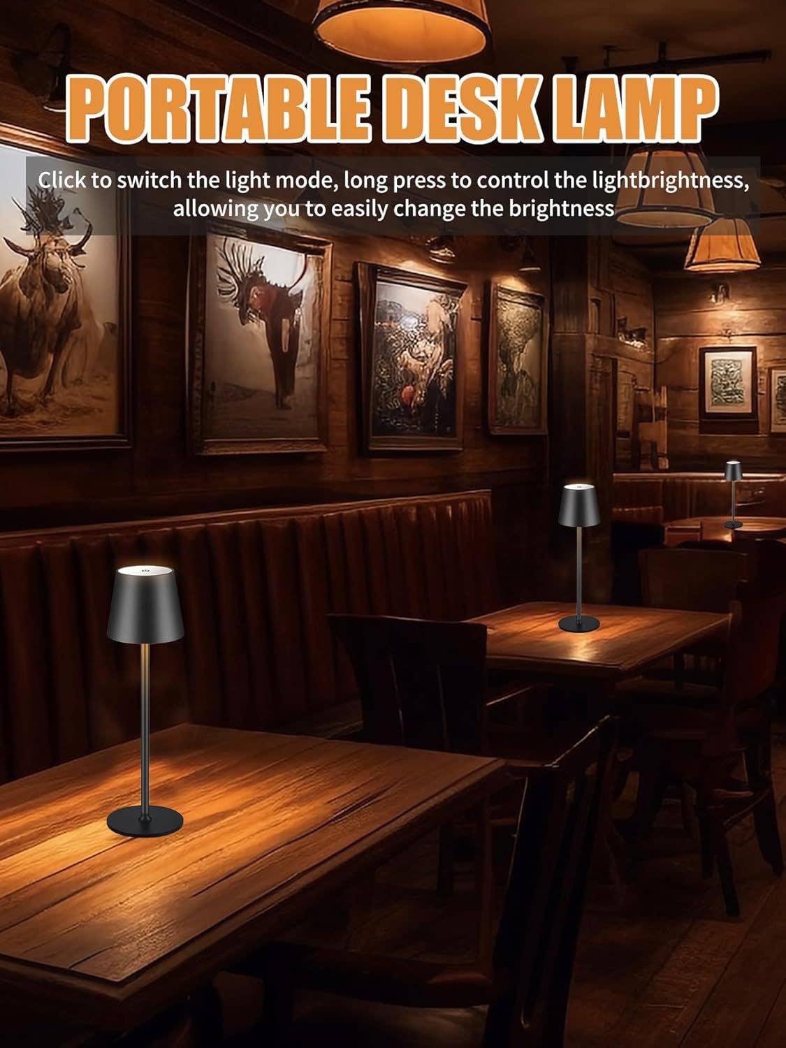 Sleek Cordless Table Lamps