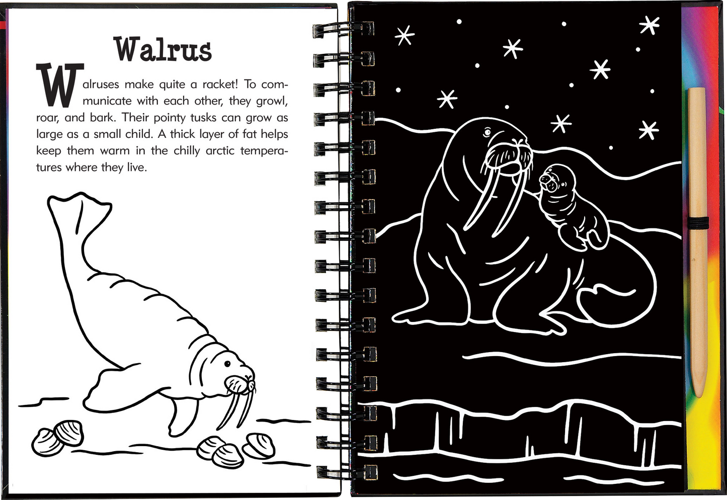 Scratch & Sketch™ Adventure Book