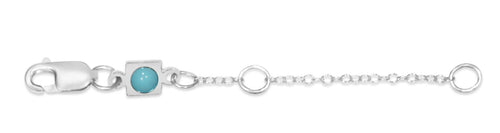 E Newton 2" Necklace Extender - Sterling