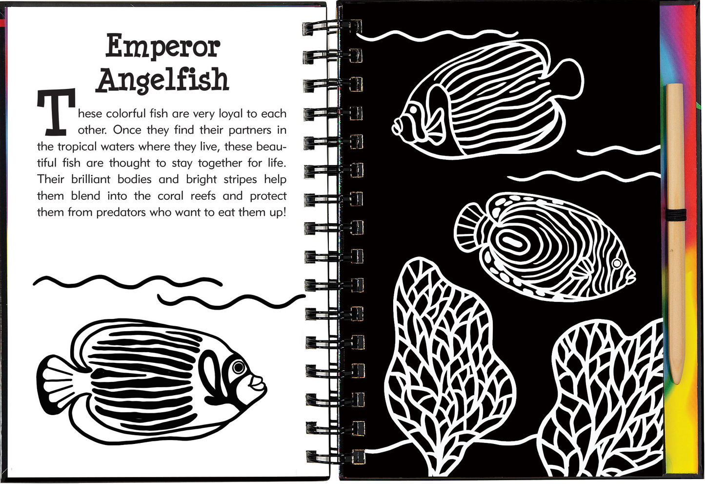 Scratch & Sketch™ Adventure Book