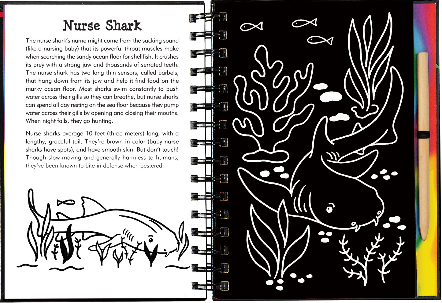Scratch & Sketch™ Adventure Book
