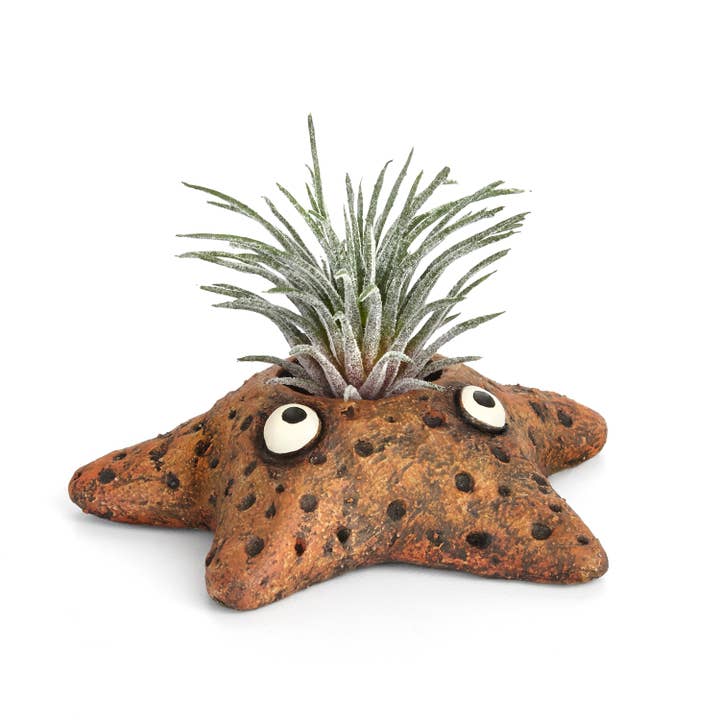 Blobhouse Planters