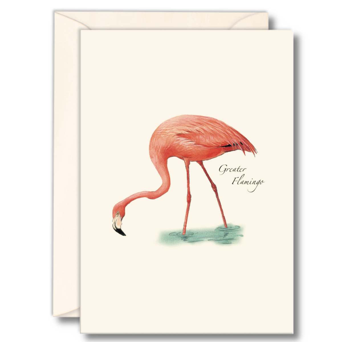 Illustrated Notecard Set