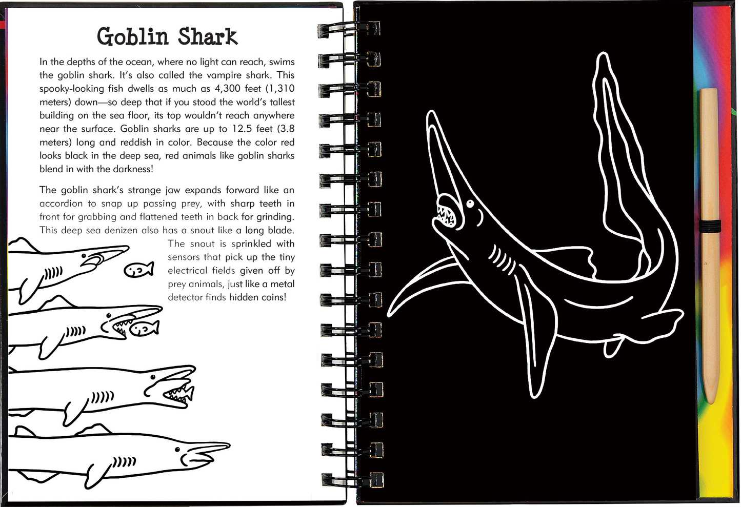 Scratch & Sketch™ Adventure Book