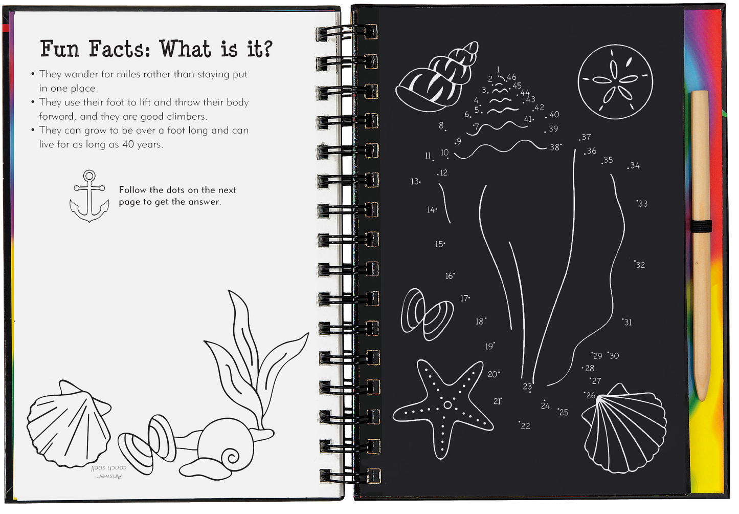 Scratch & Sketch™ Adventure Book