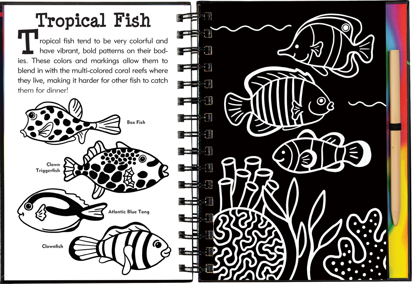 Scratch & Sketch™ Adventure Book