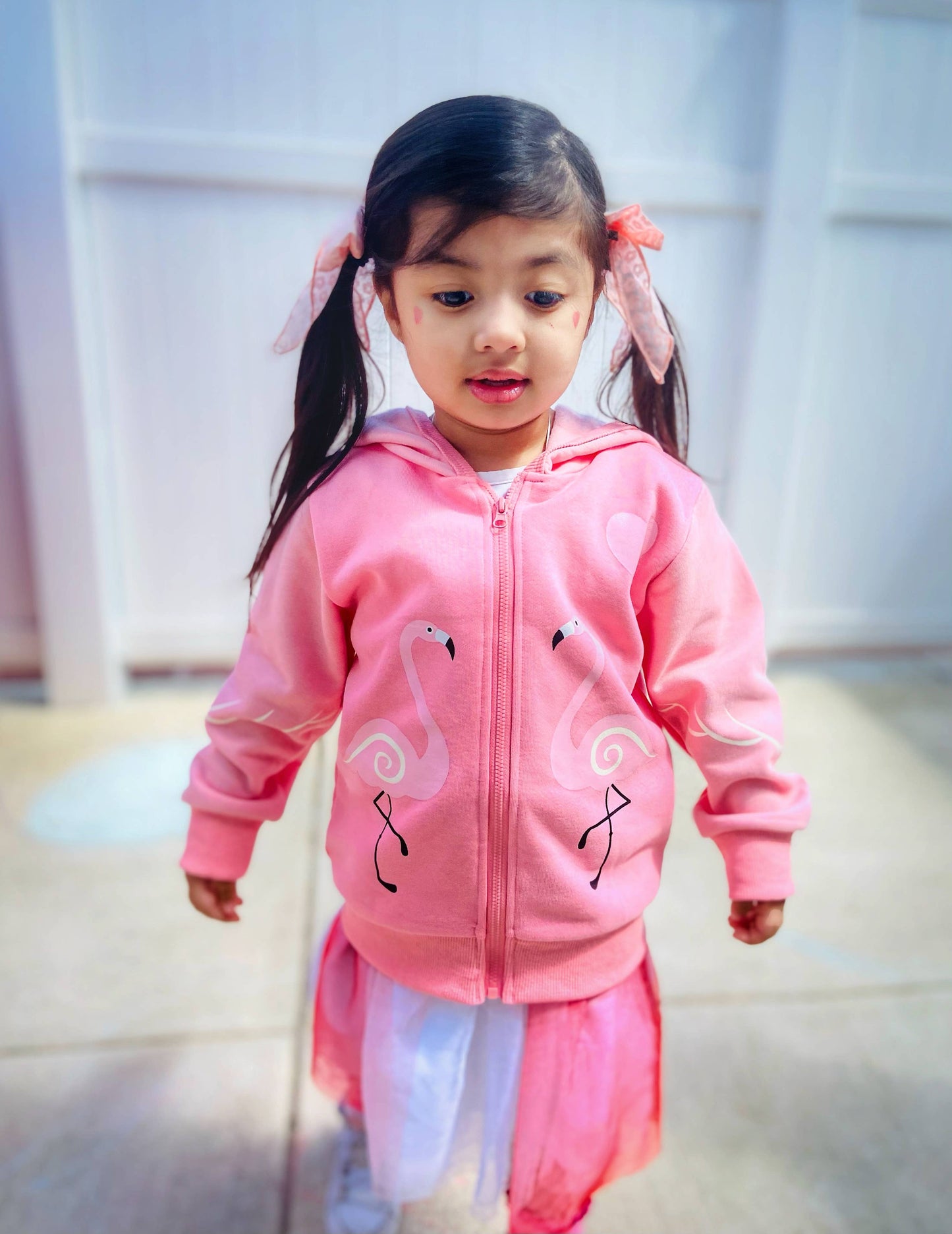 Flamingo 3D Kids Hoodie