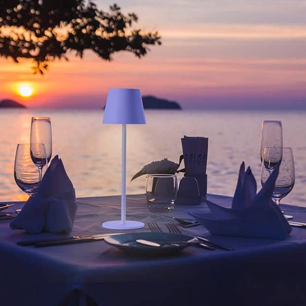 Sleek Cordless Table Lamps