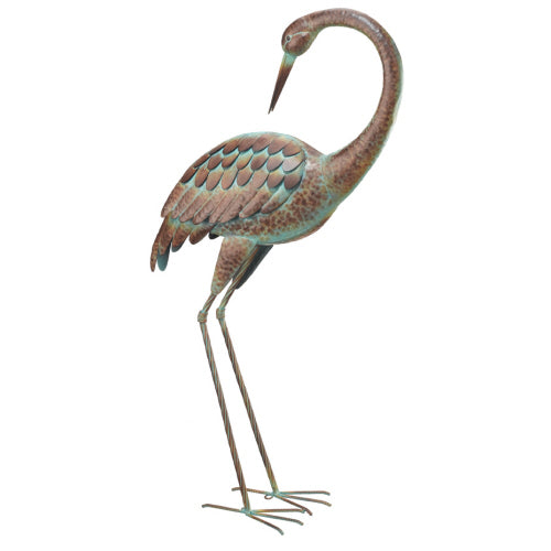 Standing Crane Preening
