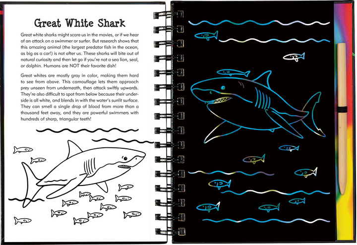 Scratch & Sketch™ Adventure Book