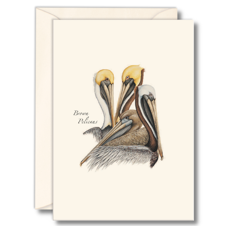 Illustrated Notecard Set