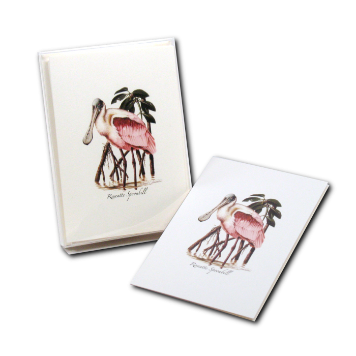 Illustrated Notecard Set