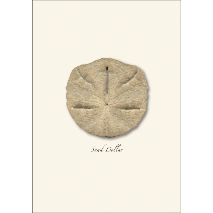 Illustrated Notecard Set