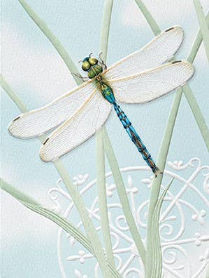 Petite Blank Note Cards