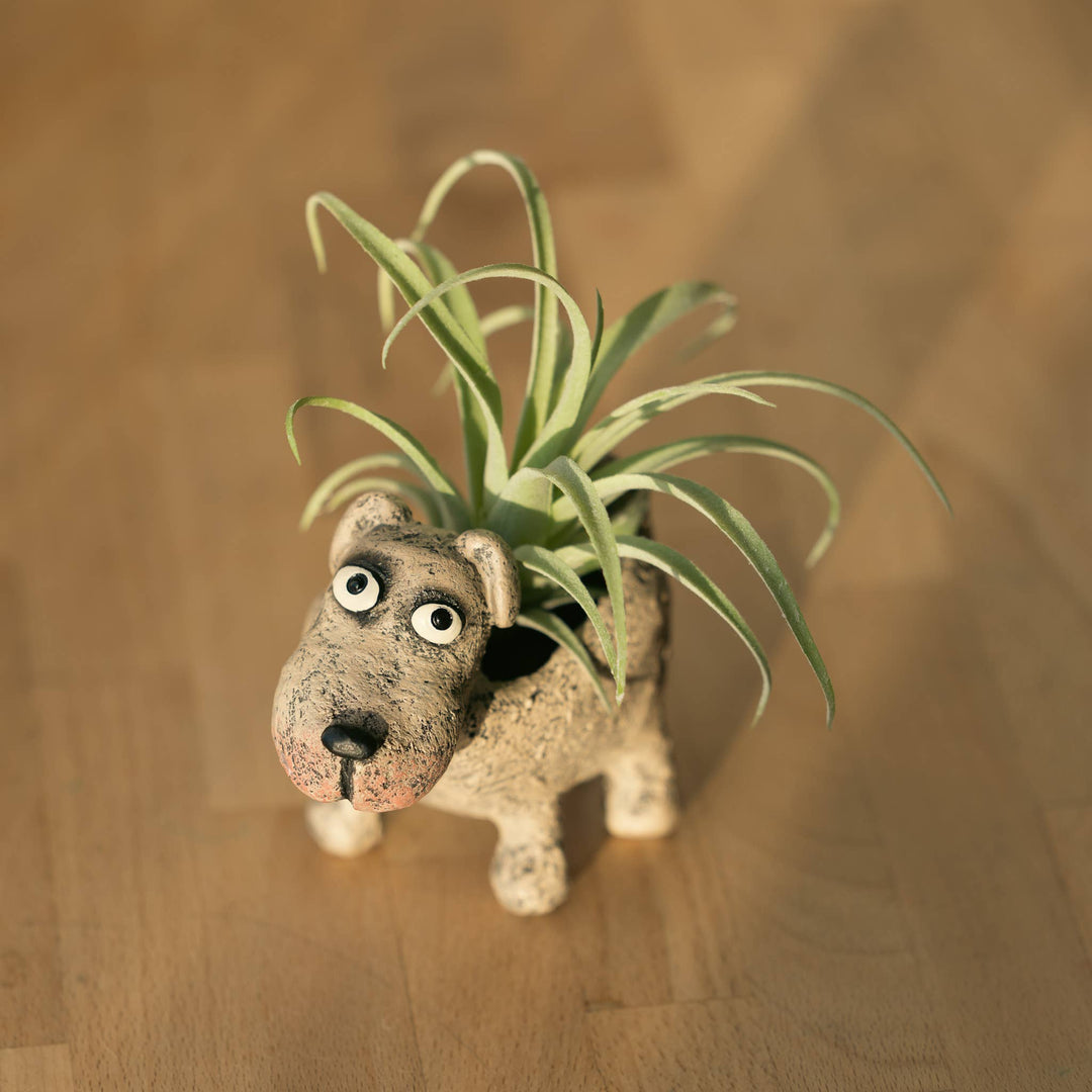 Blobhouse Planters