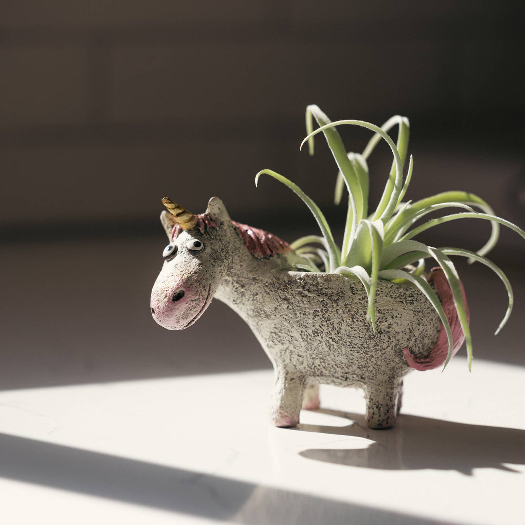 Blobhouse Planters
