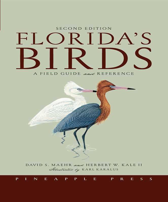 Florida's Birds by David S. Maehr