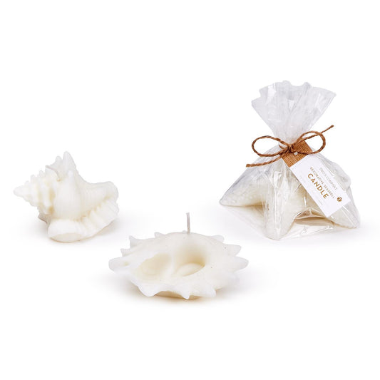 Candle Seashell