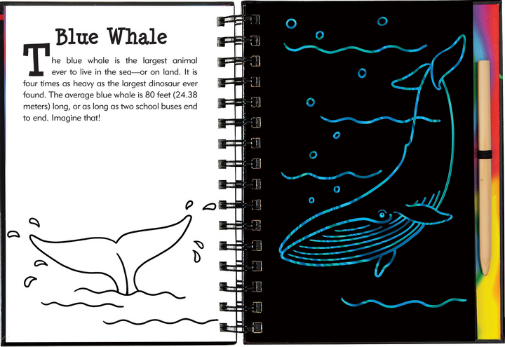 Scratch & Sketch™ Adventure Book