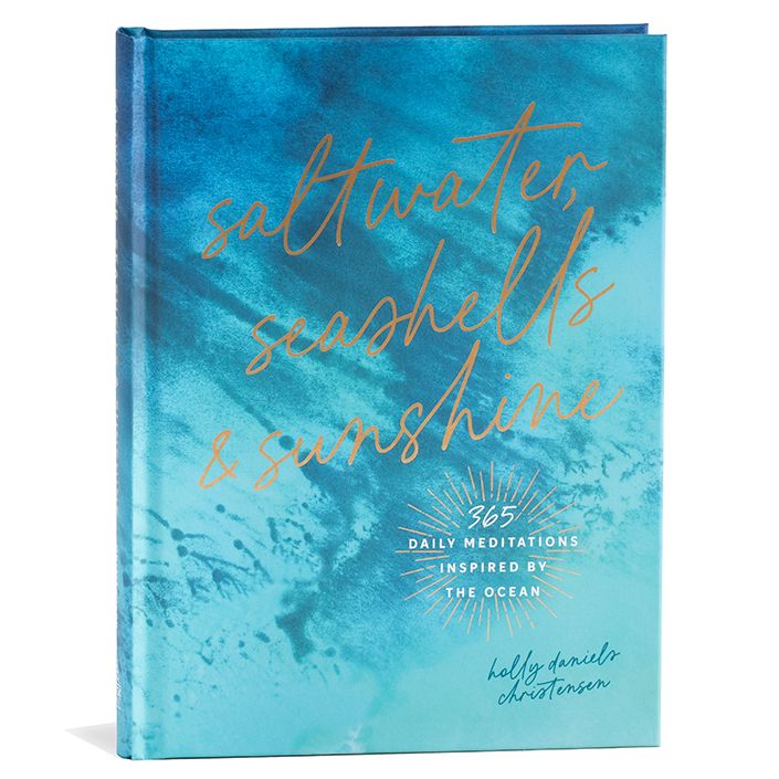 Saltwater Seashells and Sunshine book