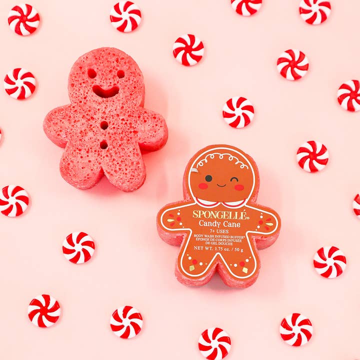 Spongelle Gingerbread Body wash scrub