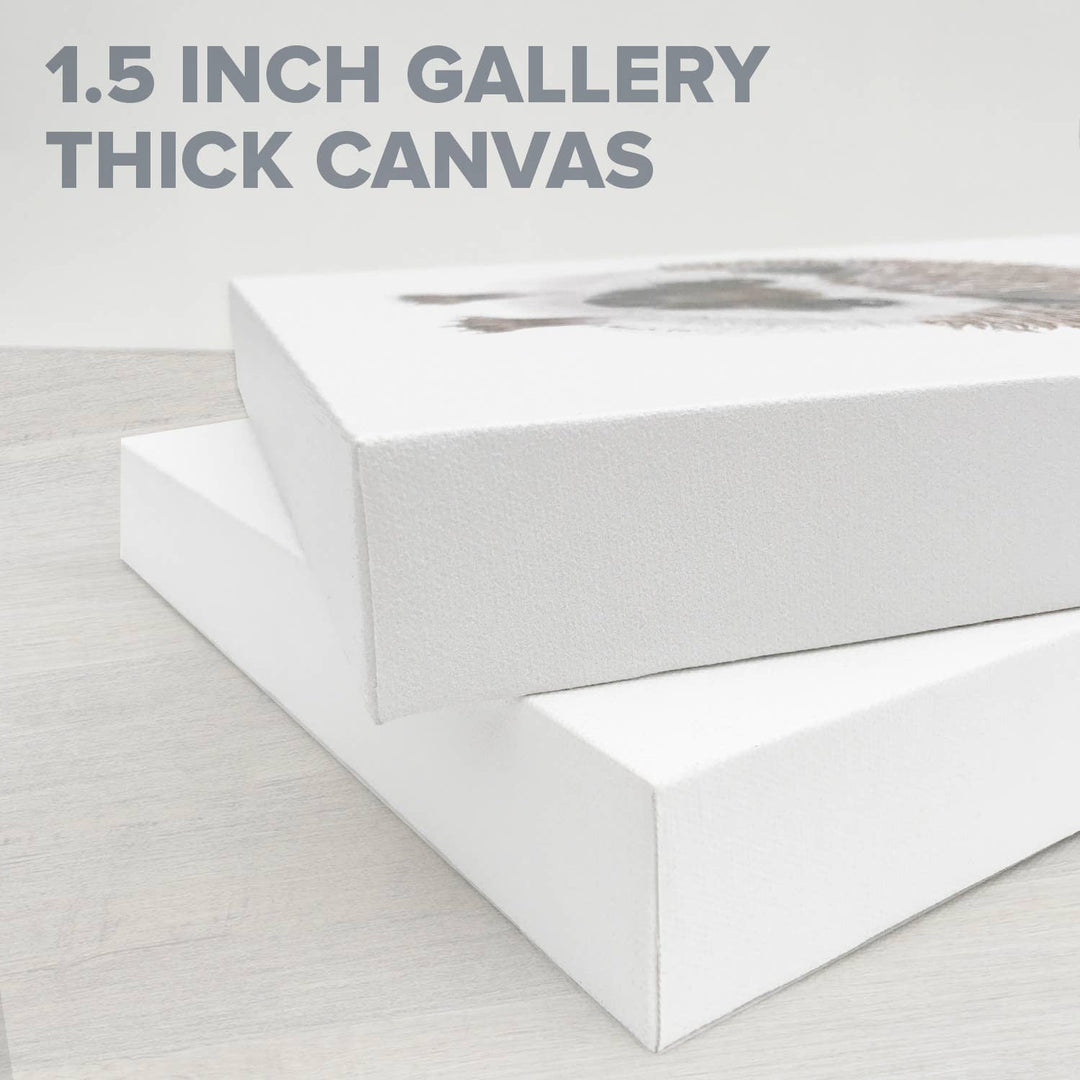 Beach Reflections Stretched Canvas