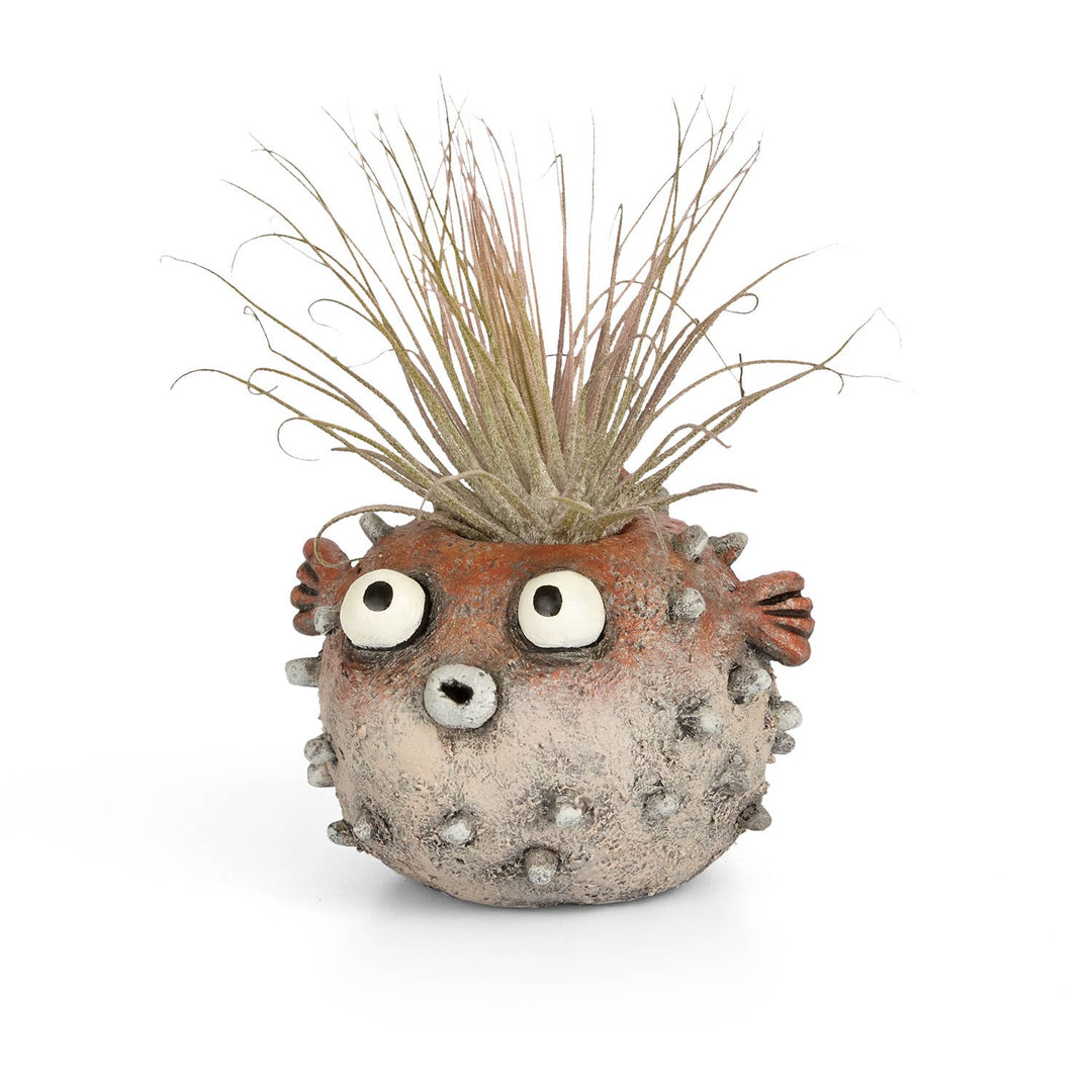 Blobhouse Planters