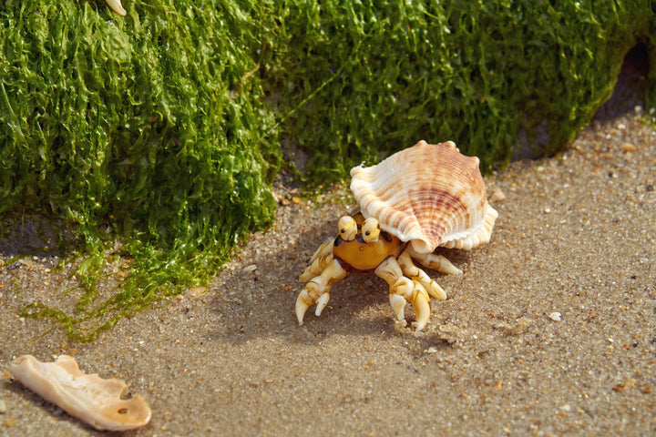 Hermit Crab Brown Art Glass Decorative Figurine