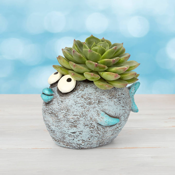 Blobhouse Planters