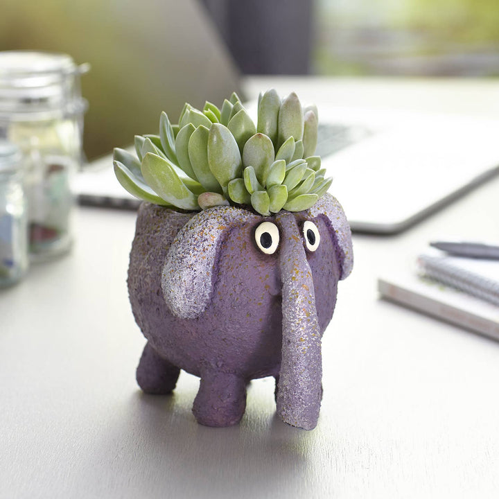 Blobhouse Planters