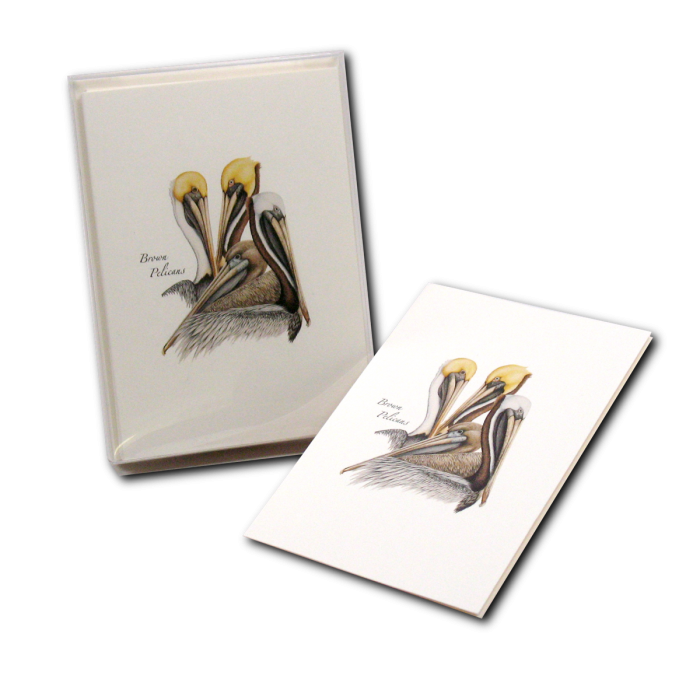 Illustrated Notecard Set