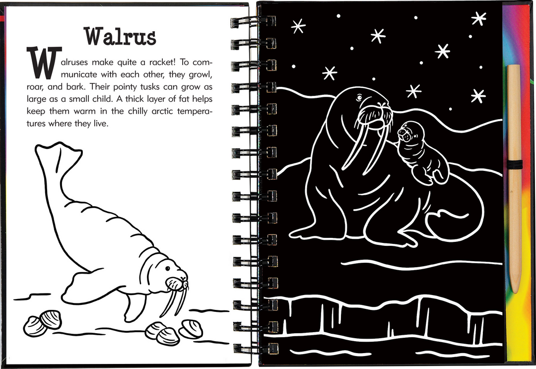 Scratch & Sketch™ Adventure Book