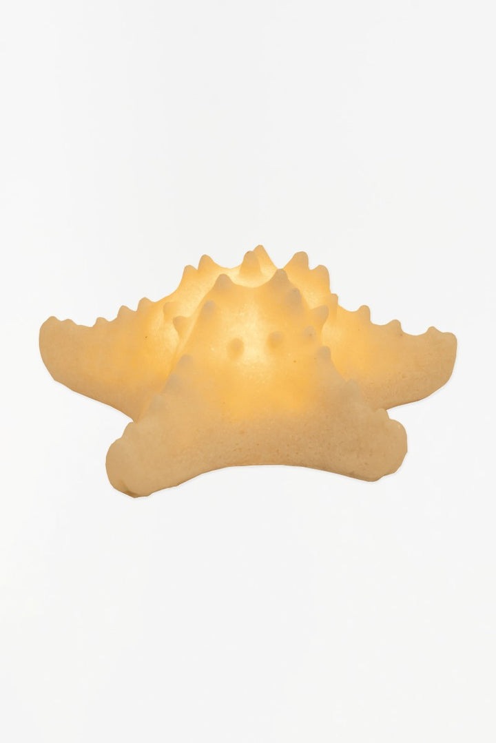 Sea Life Night Light Collection