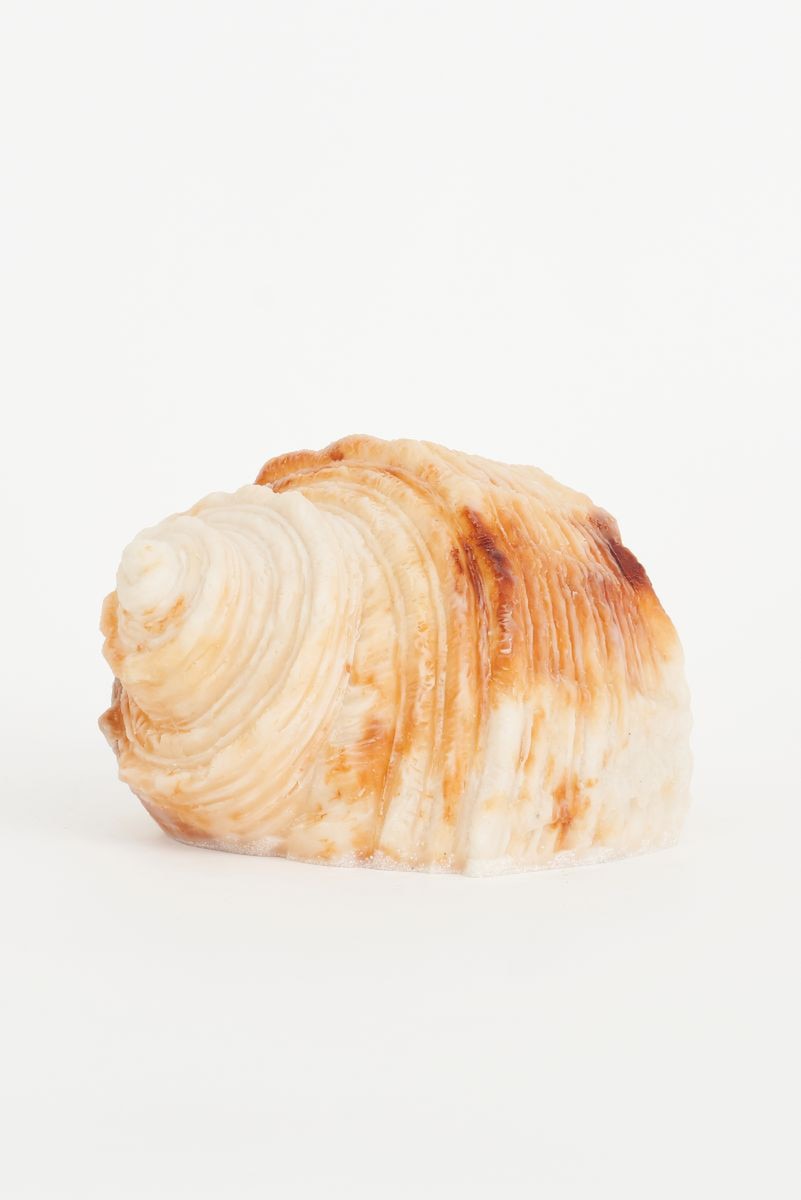 Sea Life Ambient Lamp Collection