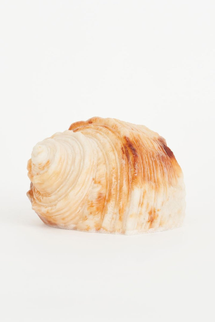 Sea Life Ambient Lamp Collection