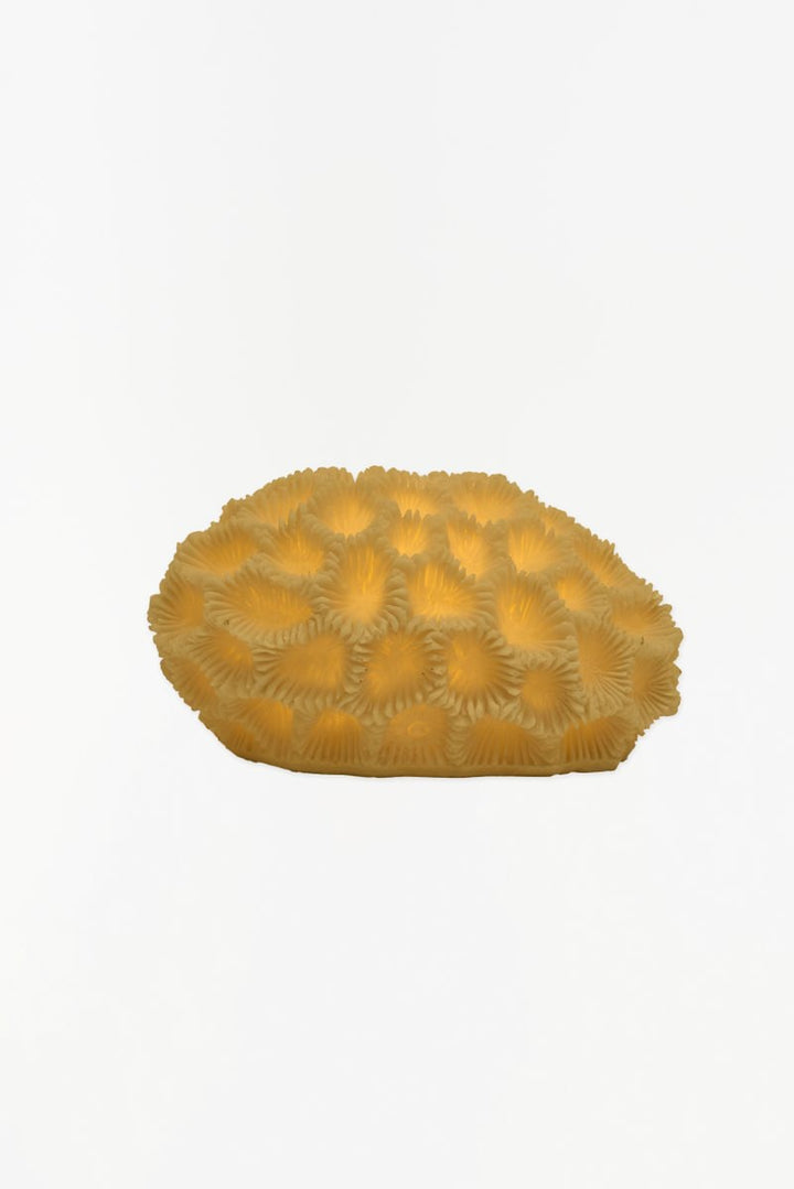 Sea Life Ambient Lamp Collection