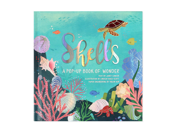 Shells: A Summer Pop-up book