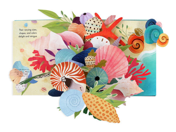 Shells: A Summer Pop-up book