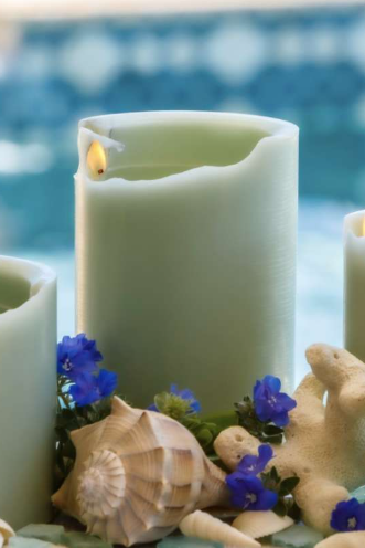 Spiral Candle Citrus Grove