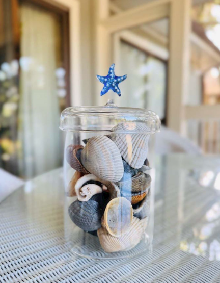 Mud Pie Glass Cannister Collection