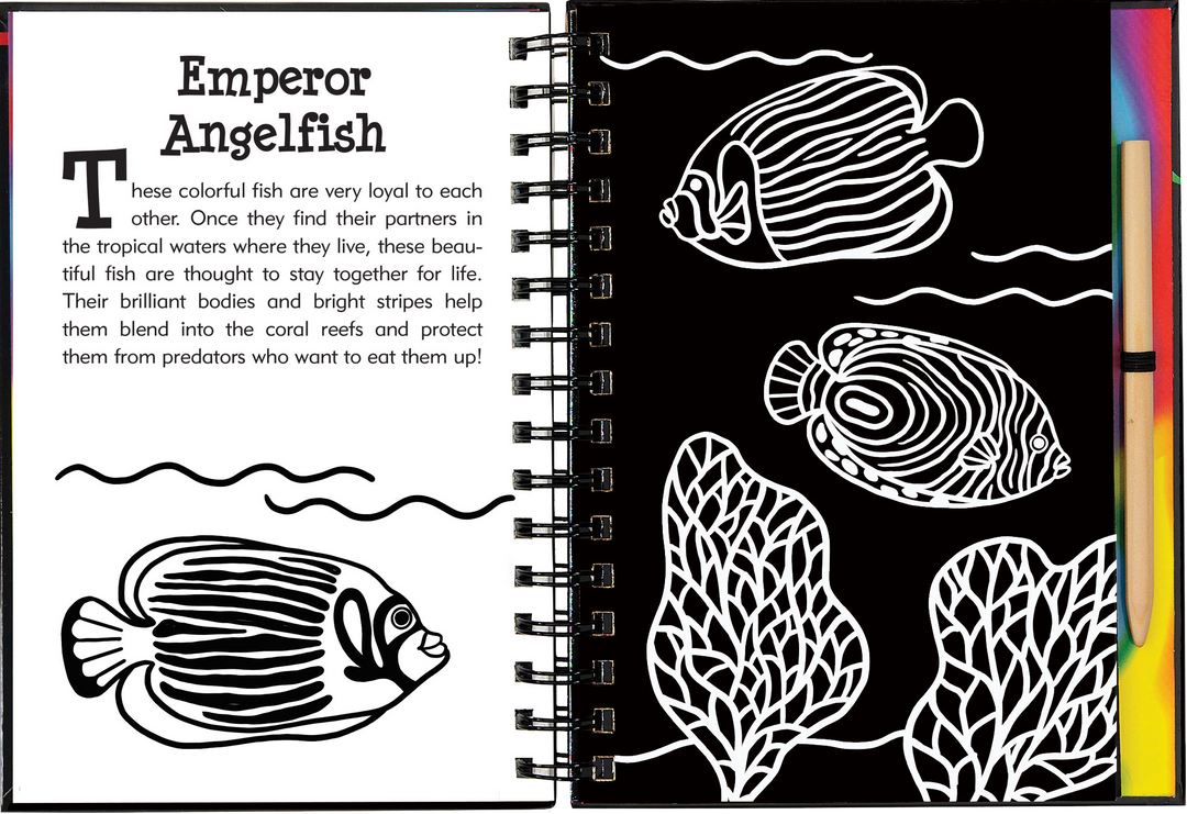 Scratch & Sketch™ Adventure Book