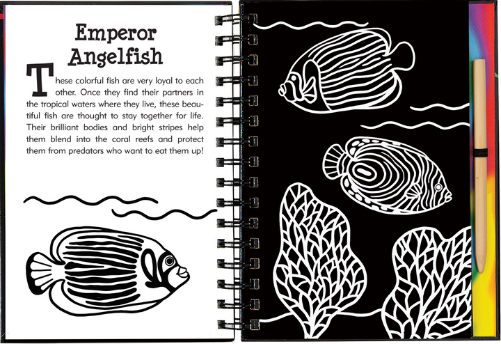 Scratch & Sketch™ Adventure Book