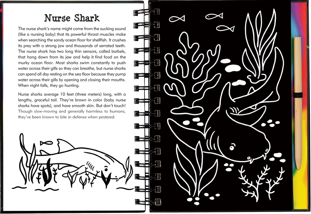 Scratch & Sketch™ Adventure Book