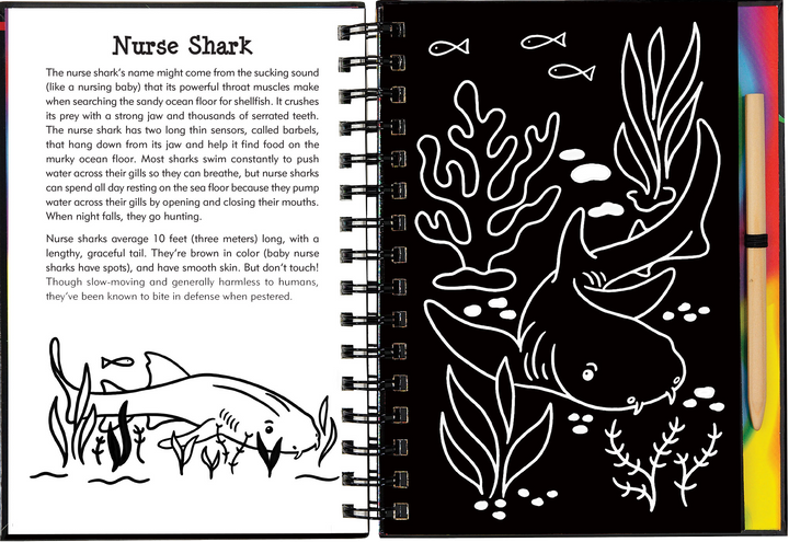 Scratch & Sketch™ Adventure Book