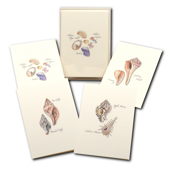 Illustrated Notecard Set